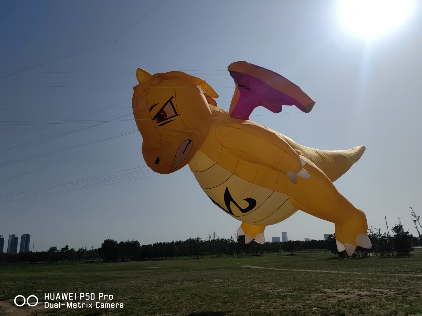 兰州市风筝批发宣传风筝定制 - 哪里好