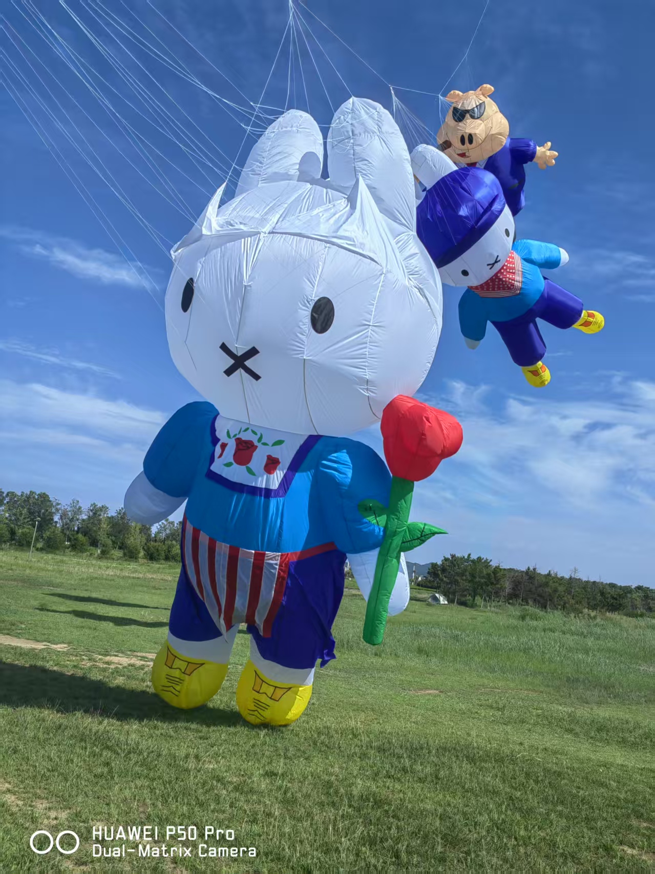 兰州市儿童风筝定制风筝批发 - 哪里好